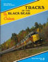 Tracks of the Black Bear